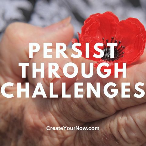 3586 Persist through Challenges