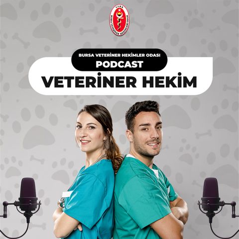 Veteriner Hekim Podcast’ini Neden Yapıyoruz? I #1