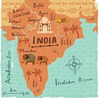 Viajeros Sin Millas - India