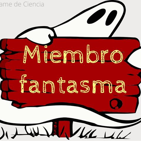 Miembro fantasma