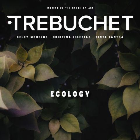 T15 - Ecology & Art - Trebuchet