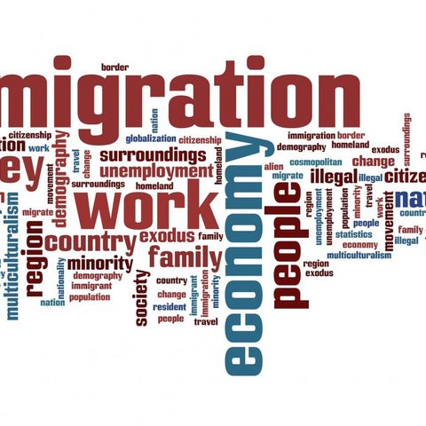 Migranti: inclusione, integrazione, professioni e progetti a supporto di questa risorsa