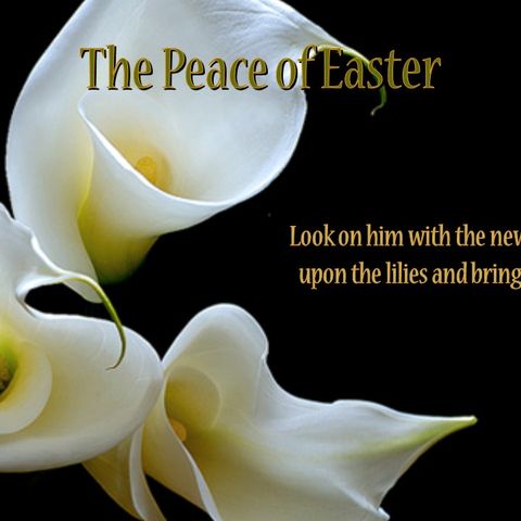 The Peace of Easter - 4/16/17