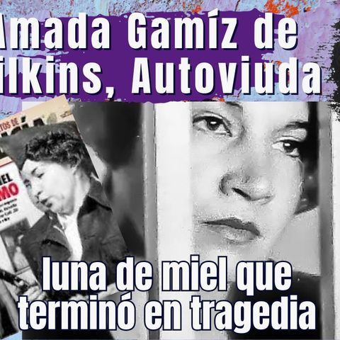 Luna de miel sangrienta_ Amada Gamiz_ autoviuda
