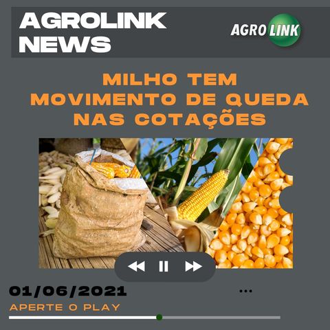 Podcast: Cotação do milho cai na última semana de maio