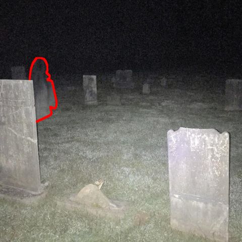 Cemetery Ghoul, South Carolina Body, Honk Kong Haunted Sales, and Save Bigfoot Please