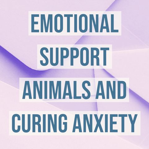 Emotional Support Animals and Curing Anxiety