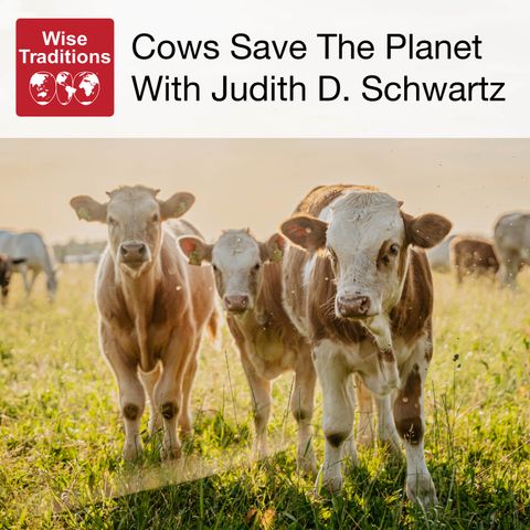 440: Cows Save The Planet