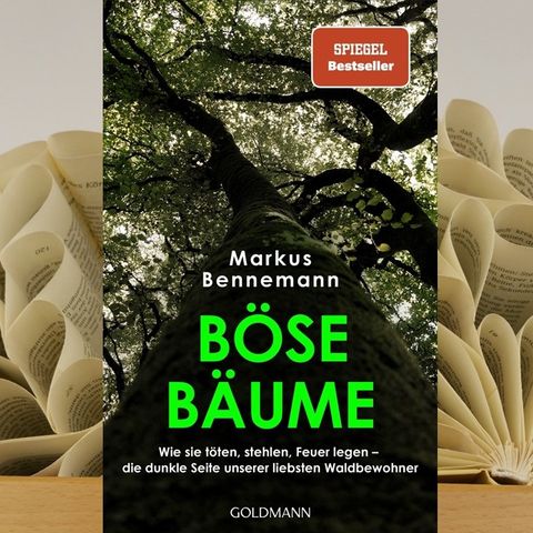 27.08. Markus Bennemann - Böse Bäume (Renate Zimmermann)