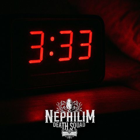 030: 3:33 - NDS Chronicles