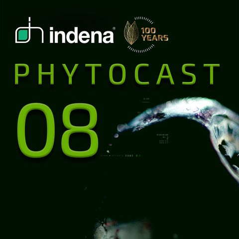 Phytocast 08: The Phytocomplex