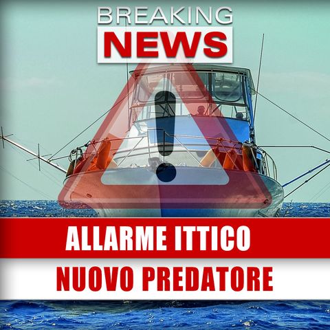 Allarme Ittico: Nuovo Predatore Localizzato Nelle Acqua Italiane! 