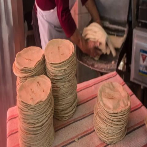 Descarta Profeco incremento en el precio de la tortilla