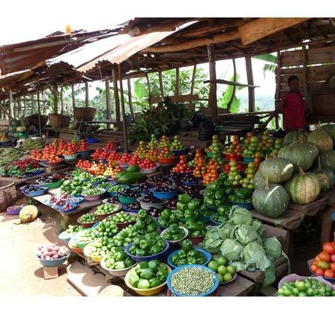 Cancer fighting nutrients from roadside fruit vegetable vendor