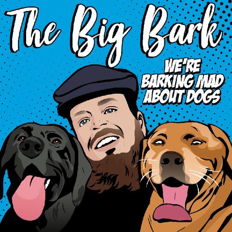 The Big Bark Dog Podcast #24 Puppy training & Socialisation with Ease with Carrie Hoade