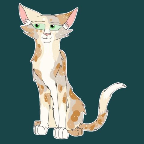 Dein🐾 eigenes🌠 Tier🌈 Generator🌃