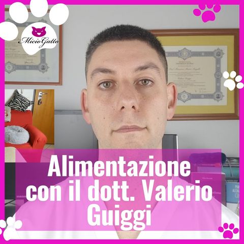 Intervista al dott. Valerio Guiggi esperto in alimentazione del gatto