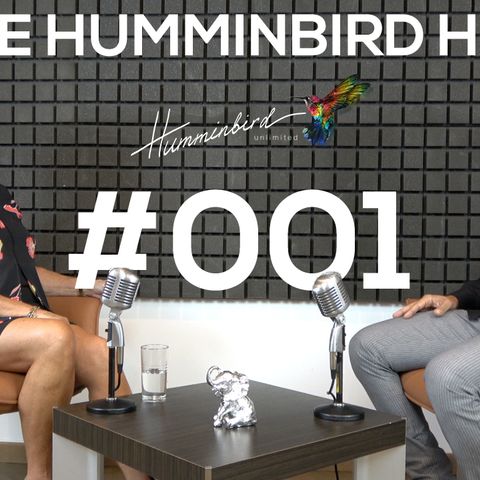 The Humminbird Hub #001 - Walid Khabbaze (mindX)