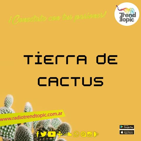 Tierra de Cactus T01E-01 Cuidando tus plantas con Tierra de Cactus