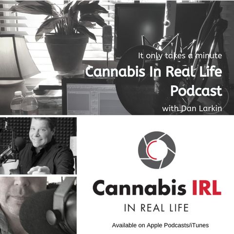 Cannabis In Real Life Podcast with Dan Larkin- 024