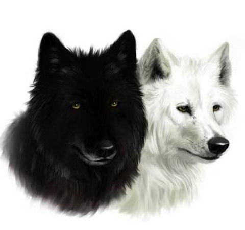 Self Discipline: The Tale of Two Wolves