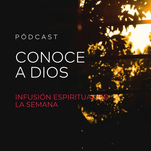 Conoce a Dios