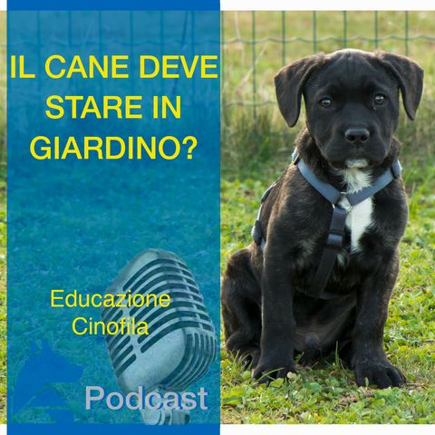 Il Cane deve stare in Giardino?