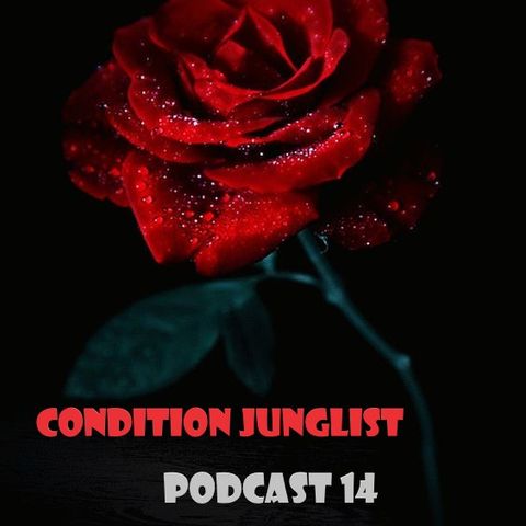 Condition Junglist Podcast 13
