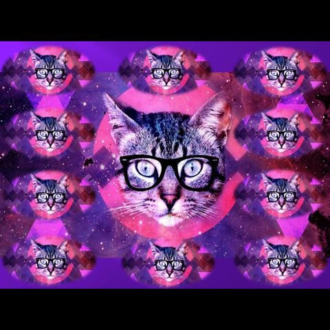 Cool Dollar Store Cat Toys Episode 16