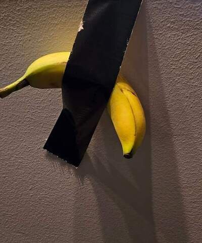 Duct taping a Banana to a Wall is So Maine