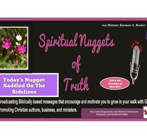 SPIRITUAL NUGGETS OF TRUTH: Today's Nugget "Saddled On The Sidelines"