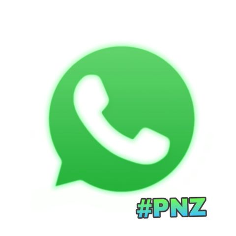 #pnz  L'App del momento è... WHATSAPP!