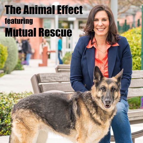 Animal Effect - Mutual Rescue