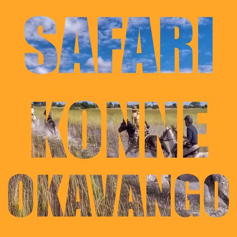 Safari konne w Delcie Okawango PL