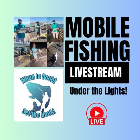 Fishing Under The Lights - Galveston Fishing Pier - Mobile Fishing Livestream 16 (Audio Podcast)