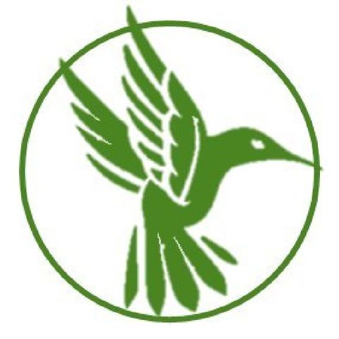 El Lenguaje De Las Aves | Greenbird