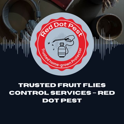 Trusted Fruit Flies Control Services – Red Dot Pest