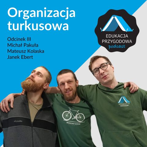 Organizacja Turkusowa