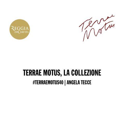 #TerraeMotus40 | Angela Tecce | Terrae Motus, la collezione