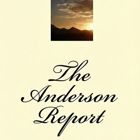 Anderson Report - Importance of only citizen voting