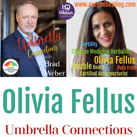 Olivia Fellus Live on Umbrella Connections with Brad Weber Ep 352