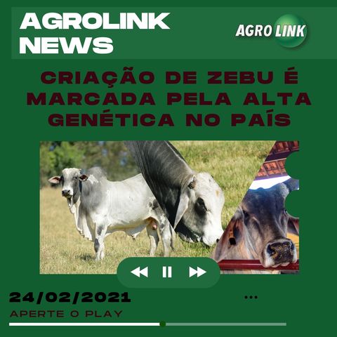 Agrolink News - Destaques do dia 24 de fevereiro