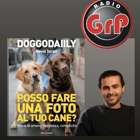 DOGGODAILY