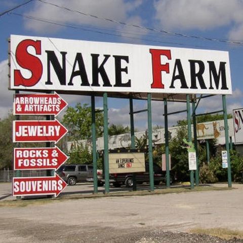 21: Wordplay, part 1 / Strange Encounter at the Snake Farm