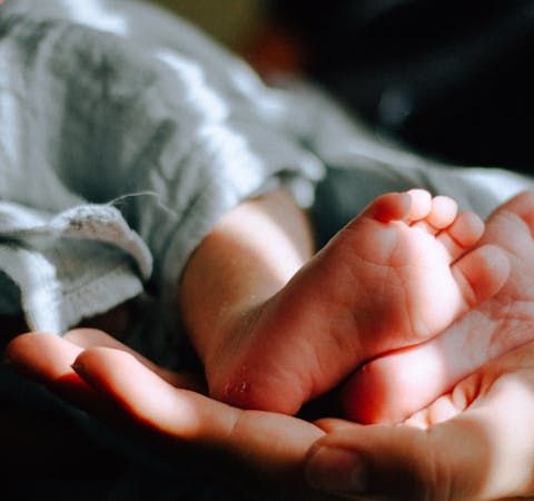 Should Pro-Lifers Embrace Embryo Adoption?