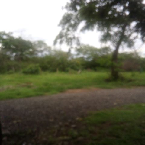Sesacion