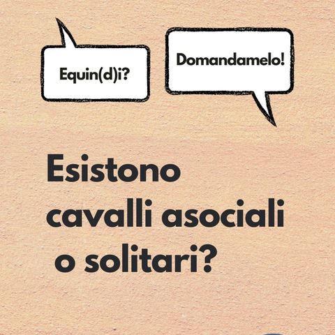 Esistono cavalli solitari o asociali?