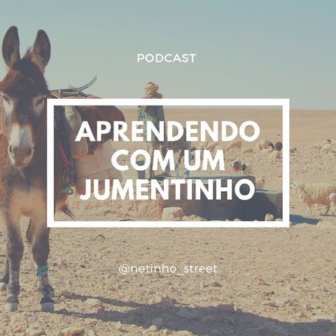 APRENDENDO COM UM JUMENTINHO