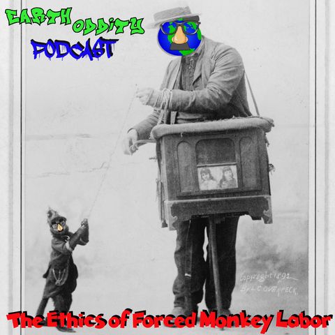 Earth Oddity 143: The Ethics of Forced Monkey Labor