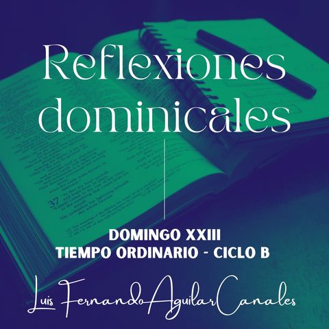 DOMINGO XXIII T.O. - CICLO B